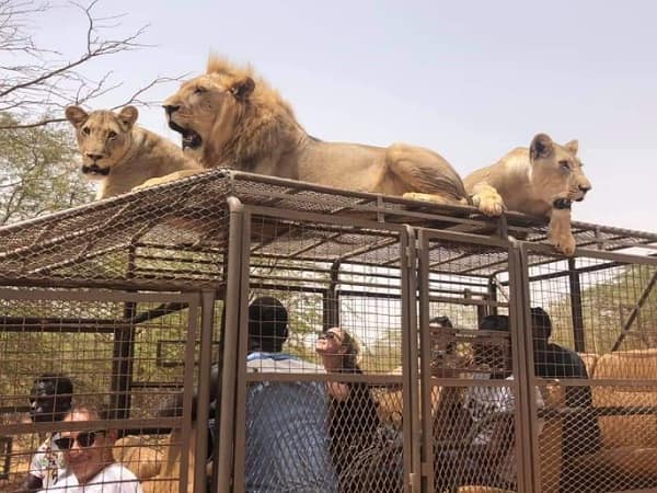 Image 2 de la Réserve de Bandia